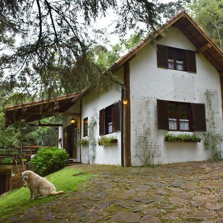 Chalet Da Hortensias Villa Cunha Esterno foto