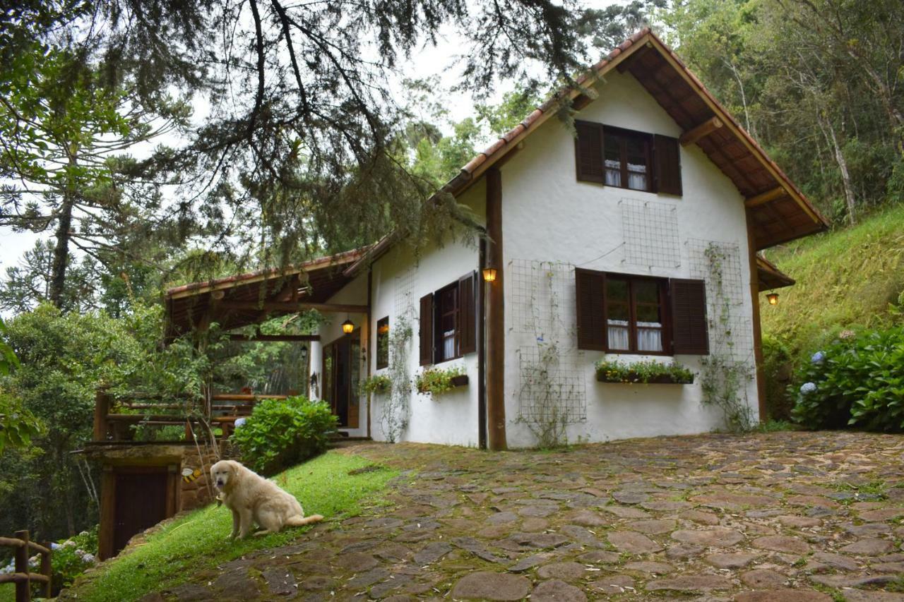 Chalet Da Hortensias Villa Cunha Esterno foto
