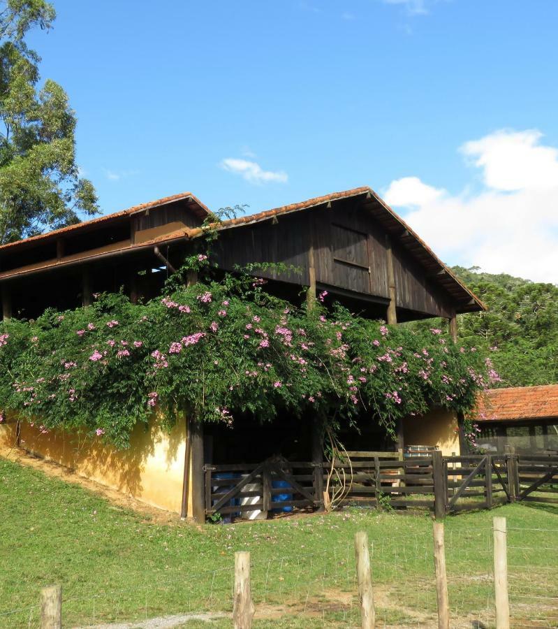 Chalet Da Hortensias Villa Cunha Esterno foto